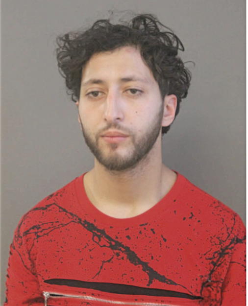 ZAARI ABDELOUAHED, Cook County, Illinois