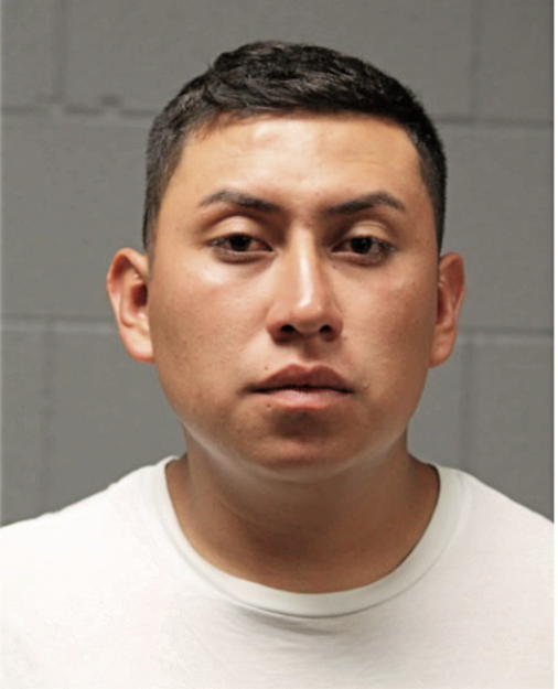VICTOR ALANIS, Cook County, Illinois
