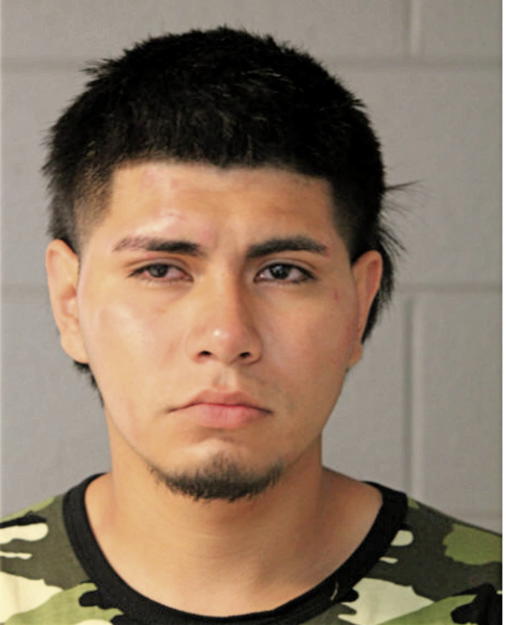 NELSON AVILES, Cook County, Illinois