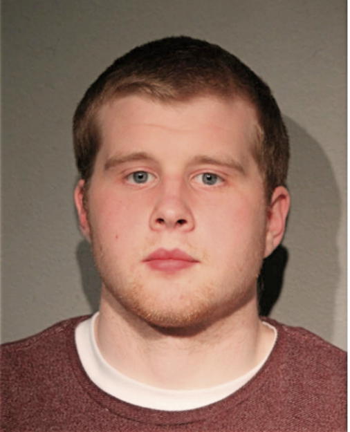 NICHOLAS S BAVOL, Cook County, Illinois