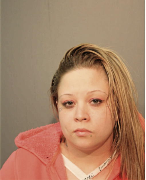 ERICA M BORGES, Cook County, Illinois