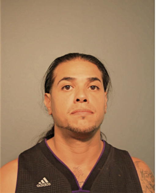 ENRIQUE J BORJON, Cook County, Illinois