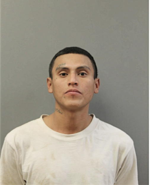 MARCO A DEJESUS, Cook County, Illinois
