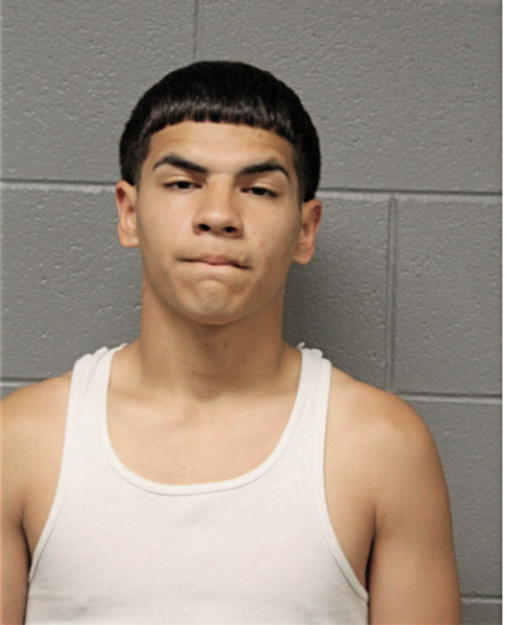 LUIS DIAZ, Cook County, Illinois