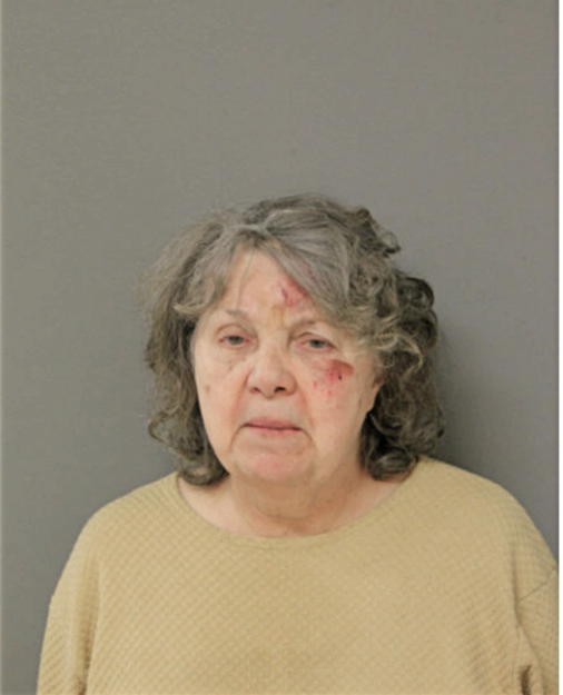 JOANNE H DRECHNEY, Cook County, Illinois