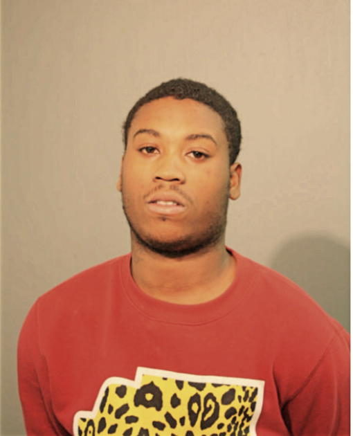 MICHAEL S ELAM, Cook County, Illinois