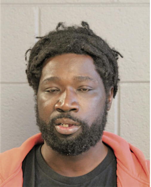 RICCO D FERGUSON, Cook County, Illinois