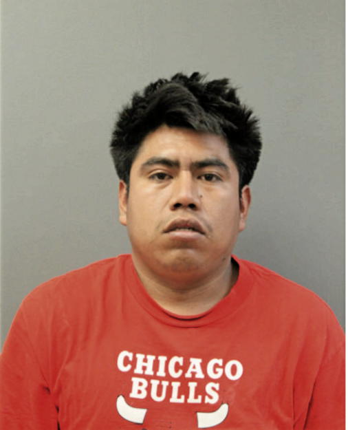 ADRIAN GALEANA, Cook County, Illinois