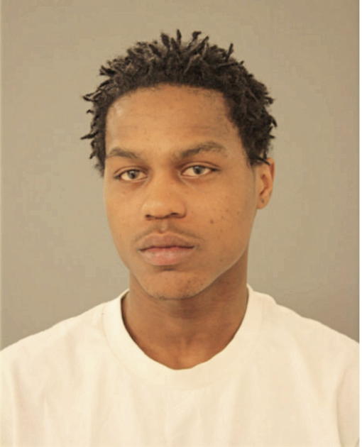 MICHAEL D GRAYSON, Cook County, Illinois