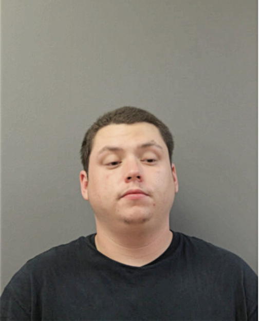 JESSE S HARPER, Cook County, Illinois