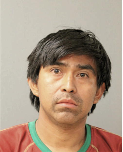 MOISES HERNANDEZ, Cook County, Illinois