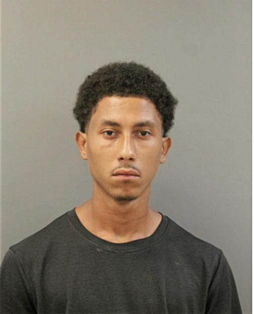 ANTHONY T KNOX, Cook County, Illinois
