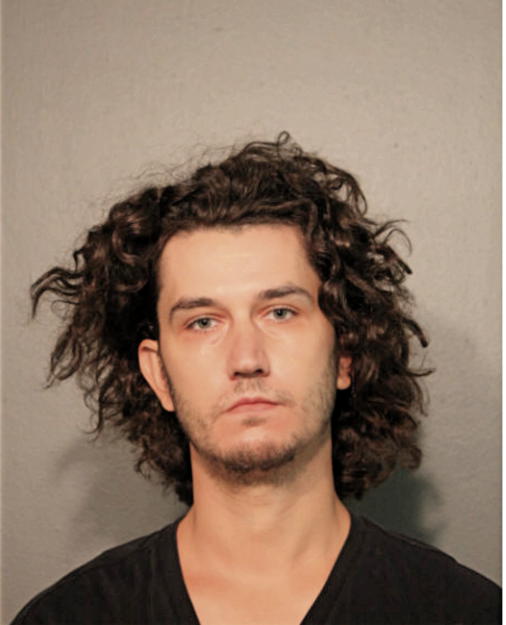 CHRIS A LARSEN, Cook County, Illinois