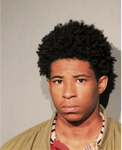 TYJUAN E LIGHTHALL, Cook County, Illinois