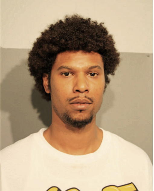 DENNIS R LLANOS, Cook County, Illinois