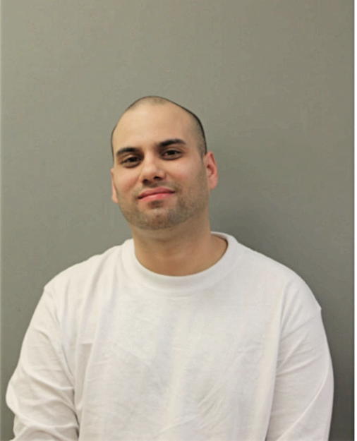JULIO ENRIQUE LOZADA, Cook County, Illinois