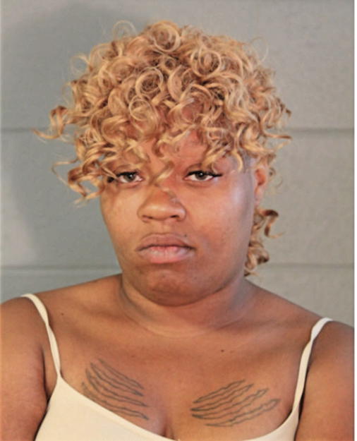 ALYSHA L MCNEIL, Cook County, Illinois