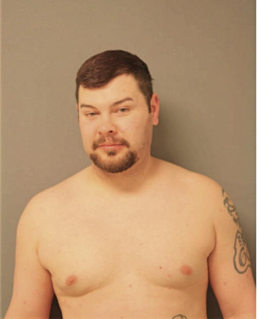 DANIEL J MONACO, Cook County, Illinois