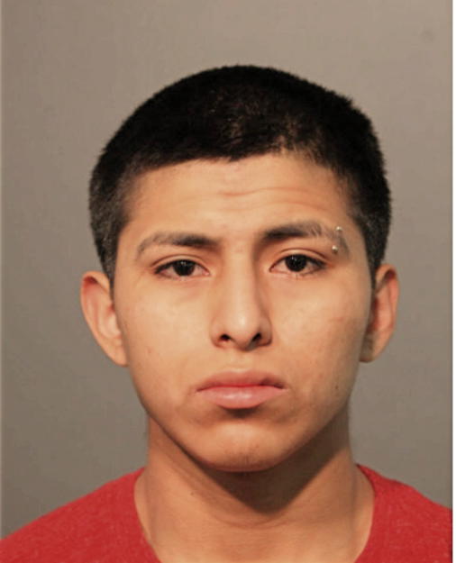 CARLOS ORTIZ, Cook County, Illinois