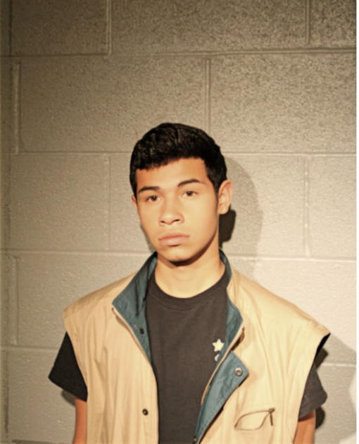 DAVID F PARDO, Cook County, Illinois