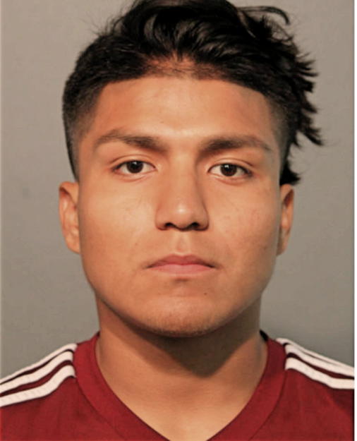 DANIEL RAMIREZ, Cook County, Illinois
