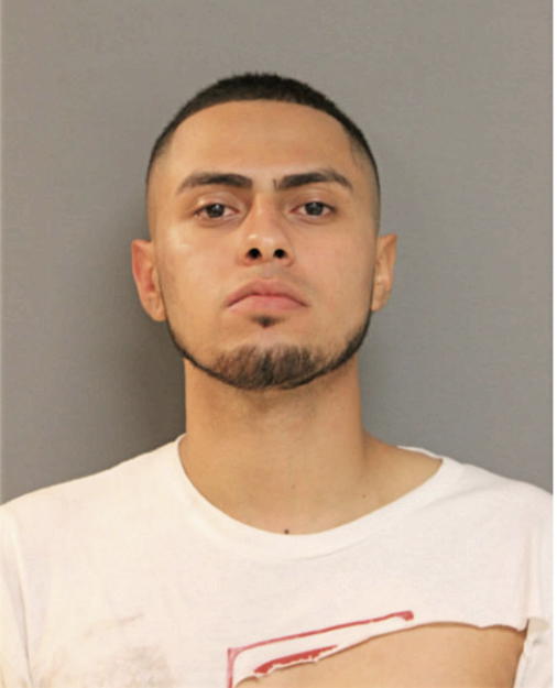 DARIO ROJAS, Cook County, Illinois