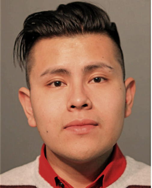 LUIS O RUBIO, Cook County, Illinois