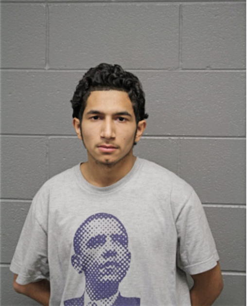 MARIO ALBERTO TIJERINA, Cook County, Illinois