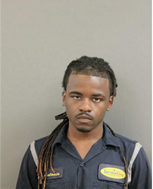 ANTONIO P TOUSANT, Cook County, Illinois