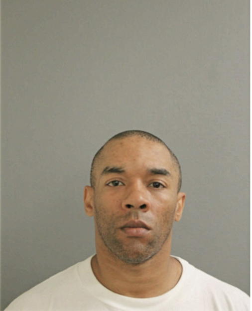 SIR TIMOTHY A MCGEE, Cook County, Illinois