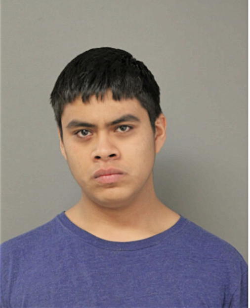 REY D ALVAREZ, Cook County, Illinois