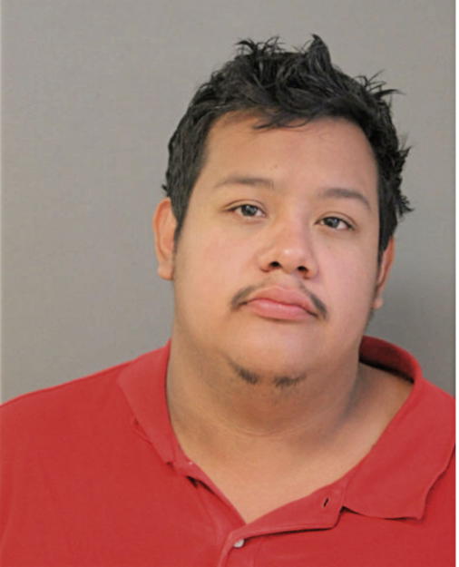 SERGIO ANAYA, Cook County, Illinois