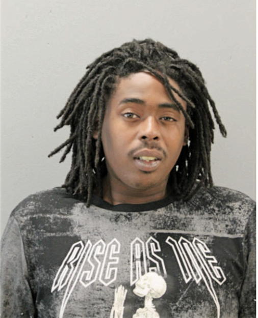 KENNETH L ANDERSON, Cook County, Illinois