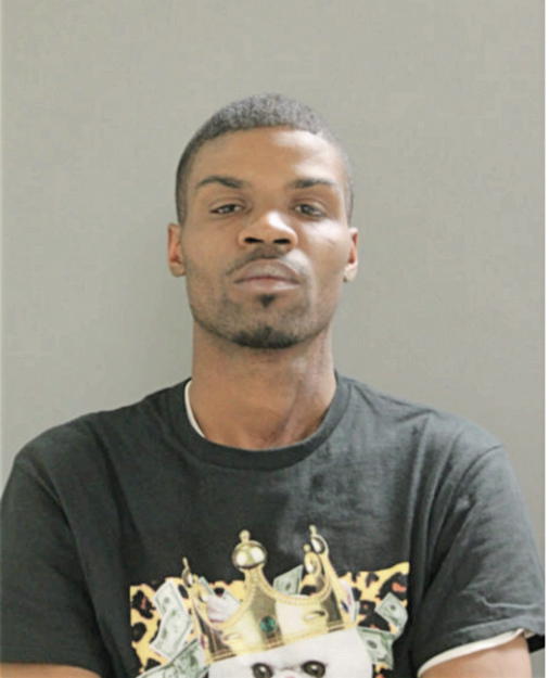 LAMAR A ANDERSON, Cook County, Illinois
