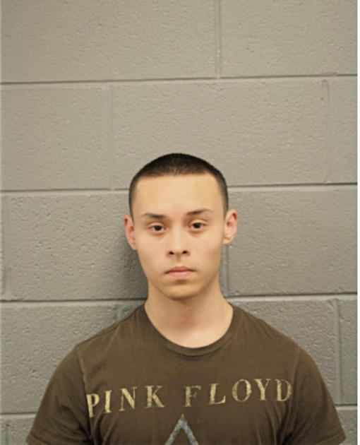 CARLOS ARMANDO ARCHILA, Cook County, Illinois