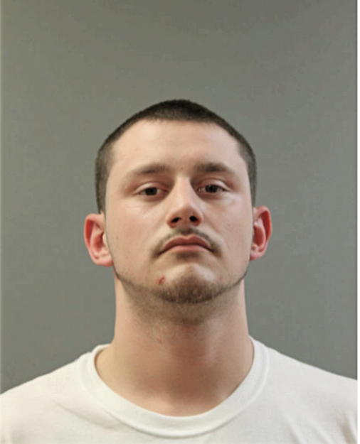 JESSE J BRANDT, Cook County, Illinois
