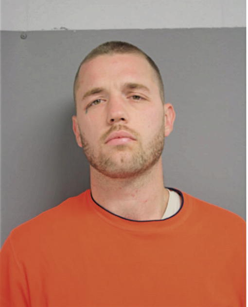 DANIEL J CARNOW, Cook County, Illinois