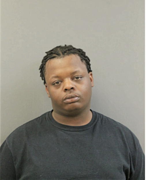 STEFAN H COLLINS, Cook County, Illinois