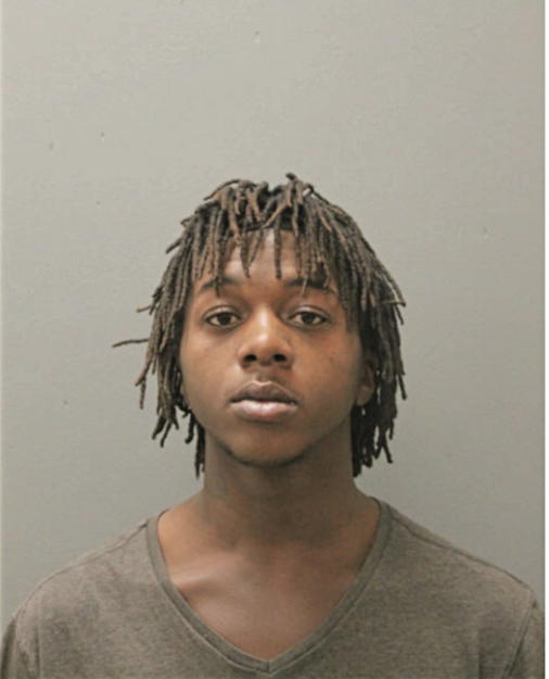 CHRISTOPHER M DAVIS, Cook County, Illinois