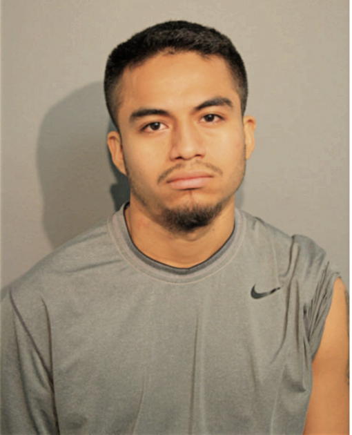 GUADALUPE ESCAMILLA, Cook County, Illinois