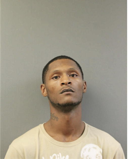 GREGORY L FORD, Cook County, Illinois