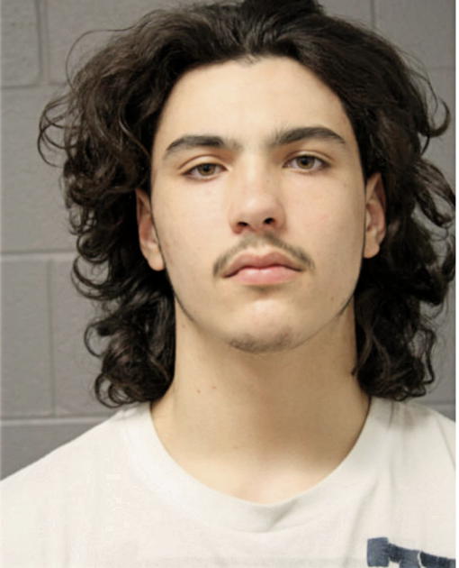 CARLOS G GONZALEZ, Cook County, Illinois