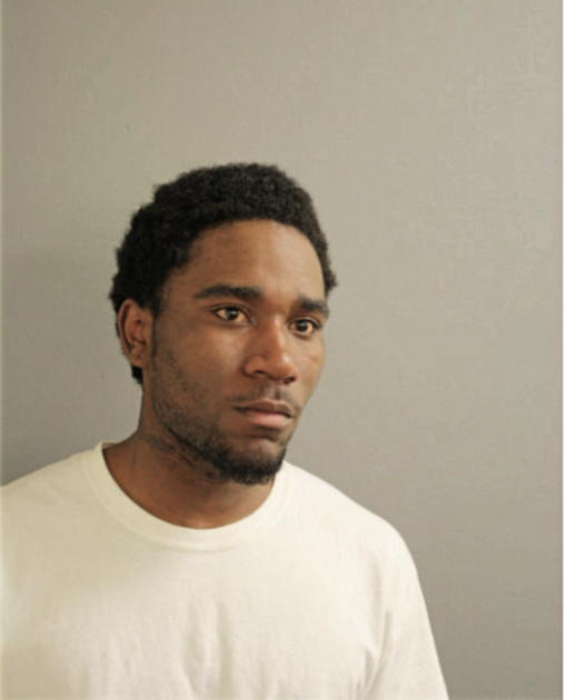 BRUCE P GREEN, Cook County, Illinois