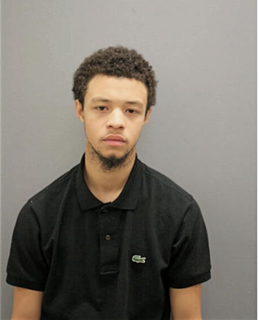 AARON M HARDING, Cook County, Illinois