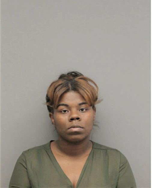 BROWN ASHLEY LAUREN, Cook County, Illinois
