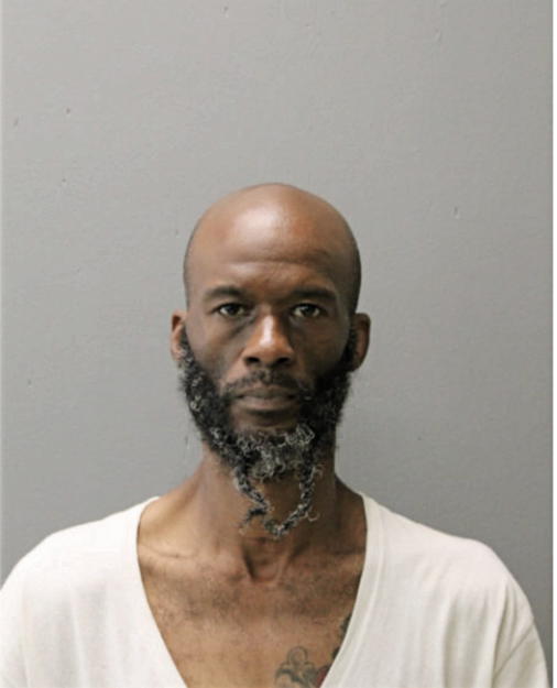 DION M LEWIS, Cook County, Illinois