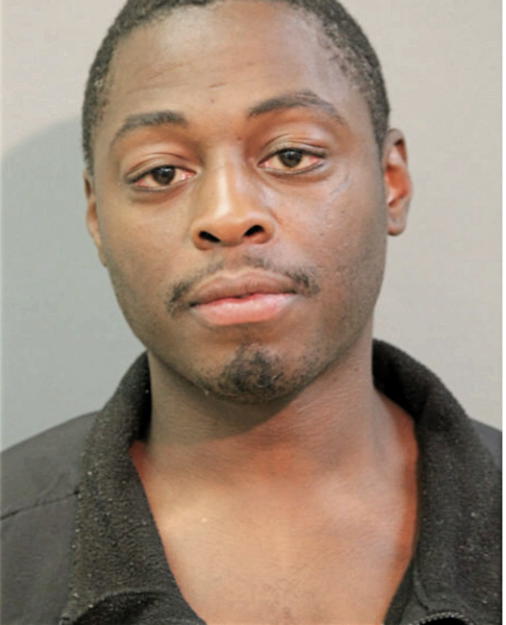 ENEREMUS D LOWE, Cook County, Illinois