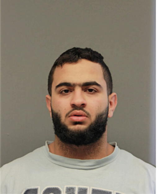 ALI N MOHAMMED, Cook County, Illinois