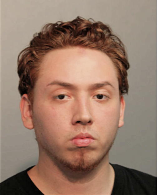 DANIEL A MONARREZ, Cook County, Illinois