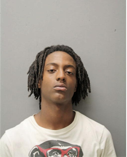 TERRANCE L MOSLEY, Cook County, Illinois